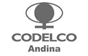 Codelco Andina