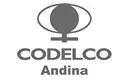 Codelco Andina